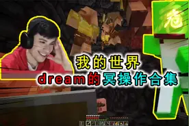我的世界：dream的冥场面大合集，惹怒村民，被村民反杀含恨当场