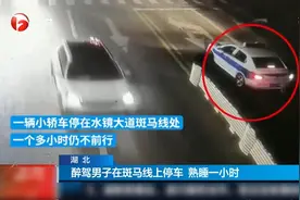 湖北：醉驾男子在斑马线上停车，熟睡一小时视频封面