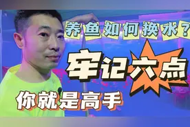 养鱼如何换水？做到这六点，你的鱼就很少生病。@俩养鱼人2视频封面