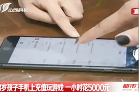 8岁孩子玩父母苹果手机，仅输入ID密码，1小时5000元没了视频封面