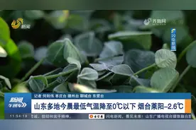 山东局地出现霜冻，莱阳最低气温-2.6℃，23日济南最高温将达20℃