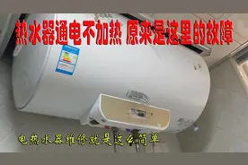 电热水器通电不加热 原来是这里坏了 师傅五分钟就修好了
