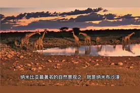 ”世界漫游”探索不同文化的奇妙之旅---纳米比亚温得和克视频封面