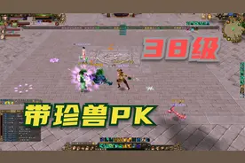 天龙八部怀旧服：丐帮+螳螂VS逍遥+鳄鱼，带珍兽PK谁更胜一筹？视频封面