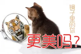 镜子里、照片里和现实生活中的你，哪一个更真实更好看？