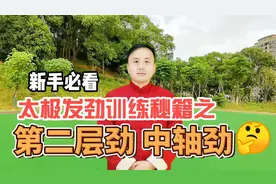 陈氏太极拳发劲训练秘籍之：掩手肱拳第二层劲练习，中轴劲视频封面