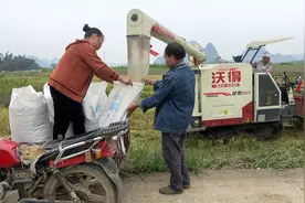 农村开收割机太赚钱了，一天能赚5000块，村民排队抢着收视频封面