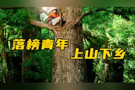 如果没有顾虑，你想做什么工作？