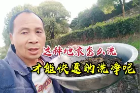 这种地衣菜真的难清洗？宜昌这个农民告诉你，其实他有1个诀窍！