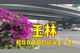 赵雷演唱的，火遍全国的《成都》里面的玉林街道，是指这里哦！