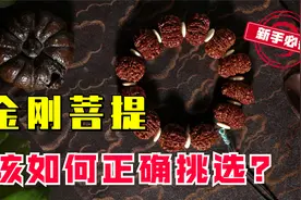 新手玩金刚菩提怕“被药”？认准这7点，新手小白秒变行家视频封面