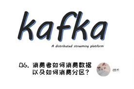 kafka 06. 消费者如何消费数据以及如何消费分区？（assign机制）视频封面