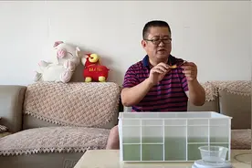 金鱼身体白蒙蒙，是缸水过酸引起的，余月教你用小苏打轻松解决