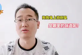 狗狗身上特别臭，洗完澡也还是臭，是哪里的臭味呢？