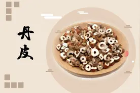 丹皮的主要功效和作用是什么？老中医科普