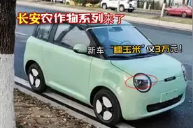 长安农作物系列来了！新款车型“糯玉米”3万元，剑指宏光Mini！
