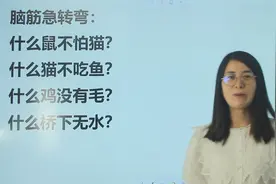 考考你：什么鼠不怕猫，什么猫不吃鱼，什么桥下没有水？