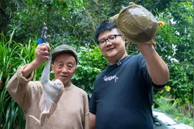4斤土鸡一只甲鱼，阿米做“霸王别姬”软糯入味，阿公叹裙边巴适视频封面