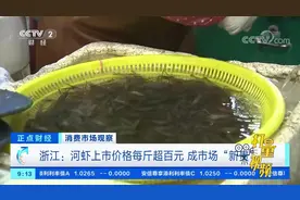 浙江：河虾上市价格每斤超百元，成市场“新贵”|正点财经
