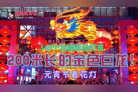 咱包头竟然还能有这么好看的花灯，长达2百米的巨龙，好壮观啊！视频封面