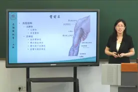 局部解刨学：7.4上肢—臂部