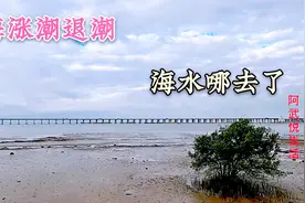 大海为什么会退潮涨潮，退潮后的海水都去哪里了，听阿武详细解说视频封面