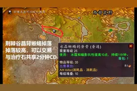 魔兽世界怀旧服：开荒NAXX冰龙必备！白送10点冰暗抗可叠加