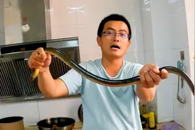 500元一斤的土龙，赶海抓3条炖上老母鸡，这锅龙凤汤太补了