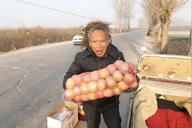 河北的苹果多少钱一斤？农村大爷说又降价了，为啥那么便宜？