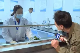 韶关建设“食品快速检测室”，免费为市民检测食材是否农药超标视频封面