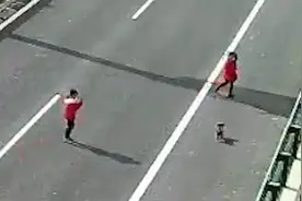 心真大！陕西一女子带着孩子在高速上来回跑动，遛狗拍视频视频封面