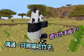 MC我的世界：偶遇一只大熊猫在吃竹子，把它竹子抢了？