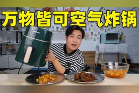 花200元网购一台“空气炸锅”号称万物皆可炸而且热量低，真的吗视频封面