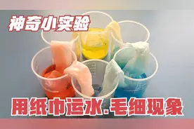 神奇小实验，用纸巾把水运输到另一个杯子，神奇有趣的毛细现象视频封面