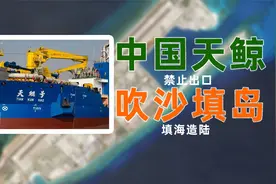 中国禁止出口的造岛神器，天鲸号一天造陆三万平，能震慑越南么？视频封面