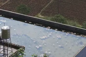 旅者来到贵州农村，家家户户楼顶放水养鱼，这样房子不会漏水么？