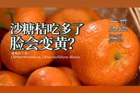 沙糖桔吃多了脸会变黄？视频封面