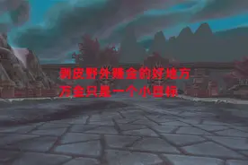 魔兽世界怀旧服：剥皮野外赚金的好地方，万金只是一个小目标