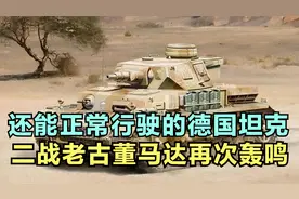 二战德国坦克合辑，从一号到虎王，老古董机器引擎再次轰鸣