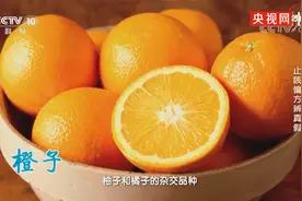 盐蒸橙子能不能用橘子或柚子代替视频封面
