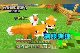 我的世界214：驯养狐狸！驯服后就不吃鸡了，遇到我也不会逃窜！