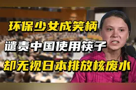 从环保少女到政治傀儡，斥责中国筷子污染环境，被当玩偶却不自知视频封面