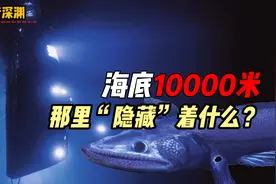 全球海洋最深处藏着哪些生物，它们在万米深海中如何存活？