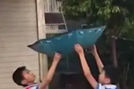 猫咪被困屋顶，两名小学生成立营救小分队，成功解救猫咪视频封面