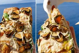 这就尴尬了！美食博主正在拍视频 手中披萨被海鸥一口叼走视频封面