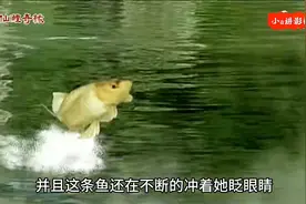 金鲤鱼不停的对着女孩眨眼睛，原来它才刚刚经历完天劫视频封面