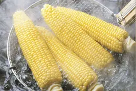 煮熟的玉米这样保存，可保存很长时间，让你随时吃到好吃的玉米