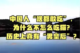 中国人“啥都敢吃”，为什么不怎么吃猫？历史上真有“男皇后”？视频封面