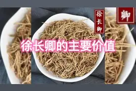 本草纲目之徐长卿的主要价值
