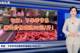 猪价高点已达14！还能创新高吗？专家：节假日猪肉或达30元/斤视频封面